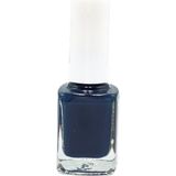 Pazarız Oje No 752 + 11 20 ml Hindistan Cevizi Bakım Yağı Kozmetik Seti