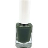 Pazarız Oje No C-10 + 228 20 ml Hindistan Cevizi Bakım Yağı Kozmetik Seti