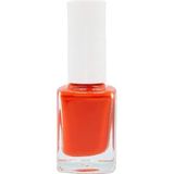 Pazariz Oje Seti, No: 294 Turuncu ve No: 120 Bej, Stamper Damgalama French Baskı Transfer Aparatı ile, 11 ml