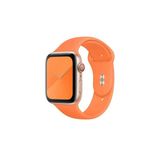 Pazariz S/M Beden Apple Watch Uyumlu 2 3 4 5 6 7 Uyumlu Se 38 Mm 40 Mm Spor Sililkon Kordon