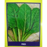 Pazi Sebze Tohumu 20 Gr