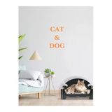 Pd Taht Rahat Kedi Köpek Yatağı 30*50 Siyah Yıkanabilir Duck Kumaş Minderi Ile Beraber