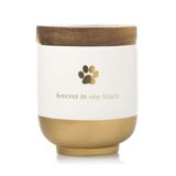 Pearhead Pet Seramik Sonsuza Kadar Kalplerimizde Vazo, Pet Anıtı, Köpek veya Kedi Hatıra Kutusu, Gökkuşağı Köprüsü, Altın