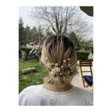 Pearly Handmade- inci Gold Firkete Set Iri Inci-mini Inci 12 Adet Saç Aksesuarı Topuz Tokası