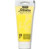 Pebeo 83122 Studıo 100 ml Akrilik Boya