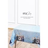 PEKSHOP Frozen Konsept Elsa Masa Örtüsü Elsa Konsept Doğum Günü Masa Örtüsü