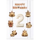 Pekshop Kapibara Doğum Günü Süsleme Seti Balon ve Banner Seti - Çok Renkli - 2