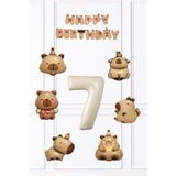 Pekshop Kapibara Doğum Günü Süsleme Seti Balon ve Banner Seti - Çok Renkli - 7