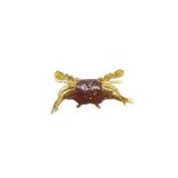 Pelican Happy Crab Colour:23 9 cm Silikon Yem