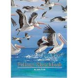 Pelican Sketchbook (Voyages level 4: gathering speed)