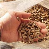 Pelinpelet Kedi Kumu 6 mm Çam Peleti 20 lt(10 Kg)