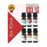 PellDio Home 6'lı Esansiyel Uçucu Yağ, Buhurdanlık Yağı, Difüzör Esansı, Oda Kokusu 10ml-1