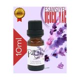 PellDio Home Lavanta Esansiyel Uçucu Yağ, Buhurdanlık Yağı, Difüzör Esansı, Oda Kokusu 10ML