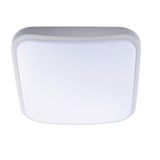 Pelsan 114142 Picto 24W 4000K IP40 35x35 Kare Sıva Üstü Led Tavan Armatürü