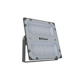 Pelsan 117822 Zone 1 100W 6500K IP66 Exproof Led Projektör