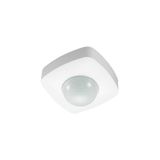 Pelsan 333966 360 Derece IP65 Varlık Sensörü