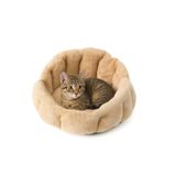 Peluş Evcil Hayvan Yatağı Wellsoft Kumaş Kedi ve Köpek Için Rahat Yatak - Camel