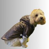 Peluşlu Mocca Küçük Irk Köpek Yağmurluğu (S)