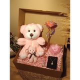 Pembe Ayıcık 25cm - Anahtarlık - Dilek Şişesi - Kalpli Kutu - Sonsuzluk Gülü - Kolye Hediye Seti