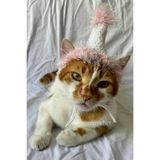 Pembe Beyaz Doğum Günü Şapkası Ponponlu Işıltılı Parti Şapkası Kedi Köpek Eğlenceli Pet Aksesuar