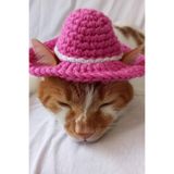Pembe Beyaz Kovboy Kedi Köpek Şapkası Örgü Eğlenceli Pet Aksesuarları