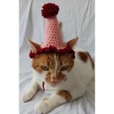 Pembe Bordo Doğum Günü Şapkası Püsküllü Ponponlu Kukuleta Parti Kedi Köpek Şapka Pet Aksesuar