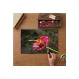 Pembe Çiçeğe Konan Güzel Kelebek Tasarımı 240 Parça Ahşap Puzzle Ahşap Kutuda MP03178
