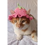 Pembe Çilek Bucket Şapka Örgü Kedi Köpek Şapkası Evcil Hayvan Şapkası Pet Aksesuarları