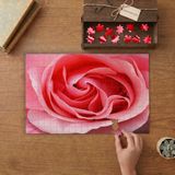 Pembe Gül - Yakın Çekim Çiçek Tasarımı 240 Parça Ahşap Puzzle Ahşap Kutuda MP01092
