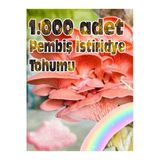 Pembe Istiridye Mantarı Miseli Tohumu Vakumlu 100 Gram ( Ekim Kılavuzu)