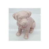Pembe Köpek Biblo