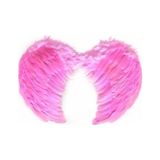 Pembe Melek Kanadı Kostümü Küçük Çok Renkli