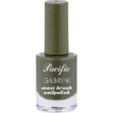 Pembe Oje 74 - Yüksek Pigmentli Uzun Süreli Kalıcılık Hızlı Kuruma - Nail Lacquer 74