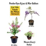 Pembe Oya Ağacı Fidanı+Mor Salkım Ağacı Fidanı Mezem Çiçeği Hediyeli Bahçe Peyzaj Seti