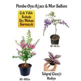 Pembe Oya Ağacı Fidanı+Mor Salkım Ağacı Fidanı Telgraf Çiçeği Hediyeli Bahçe Peyzaj Seti