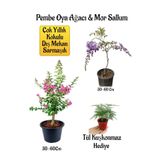 Pembe Oya Ağacı Fidanı+Mor Salkım Ağacı Fidanı Tül Kuşkonmaz Çiçeği Hediyeli Bahçe Peyzaj Seti, BTS01NA0032