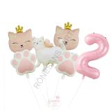 Pembe Rakam Patili Kedi Konsept Doğum Günü Parti Seti Yaş-2