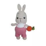 Pembe Tulumlu Havuçlu Bal Yanak Tavşan Amigurumi Organik Oyuncak
