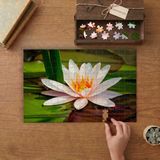 Pembe Turuncu Lotus Çiçeği Tasarımı 240 Parça Ahşap Puzzle Ahşap Kutuda MP00518