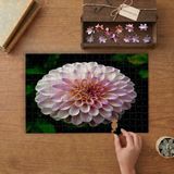 Pembe Yıldız Çiçeği Tasarımı 240 Parça Ahşap Puzzle Ahşap Kutuda MP01023
