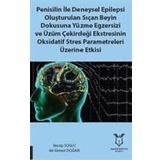 Penisilin İle Deneysel Epilepsi Oluşturulan Sıçan Beyin Dokusuna Yüzme Egzersizi Ve Üzüm Çekirdeği Ekstresinin Oksidatif Stres Parametreleri Üzerine Etkisi