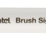 Pentel Brush Sing Pen Twin Çift Taraflı Fırça Uçlu Kalem GÜMÜŞ GRİ