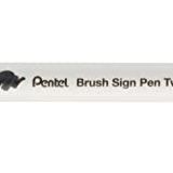 Pentel Brush Sing Pen Twin Çift Taraflı Fırça Uçlu Kalem ZÜMRÜT