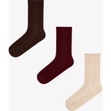 Penti Bordo Bej Braided Colosio Ajur Desenli Pamuklu 3 Çift Soket Çorap - 36 - 40 - Renkli