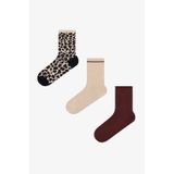 Penti Bordo Bej Relax Leopar Pamuklu 3 Çift Soket Çorap Çok Renkli