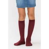 Penti Bordo Kız Çocuk Micro 40 Pantolon Çorabı - Kırmızı - 2