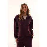 Penti Bordo Yarım Fermuarlı Çizgili Polo Yaka Sweatshirt