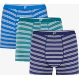 Penti Erkek Blue Çizgili 3'lü Boxer - Çok Renkli - M