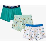 Penti Erkek Çocuk Capybaras With Cars Araba Desenli Pamuklu 3'lü Boxer - 12 - 13 Yaş - Renkli