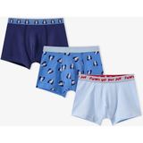 Penti Erkek Çocuk Mavi Paws For Joy Pamuklu 3'lü Boxer - 12 - 13 Yaş